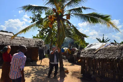 DSC_4930 (Large).JPG